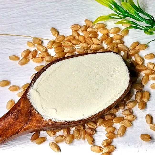 小麦低聚肽粉
